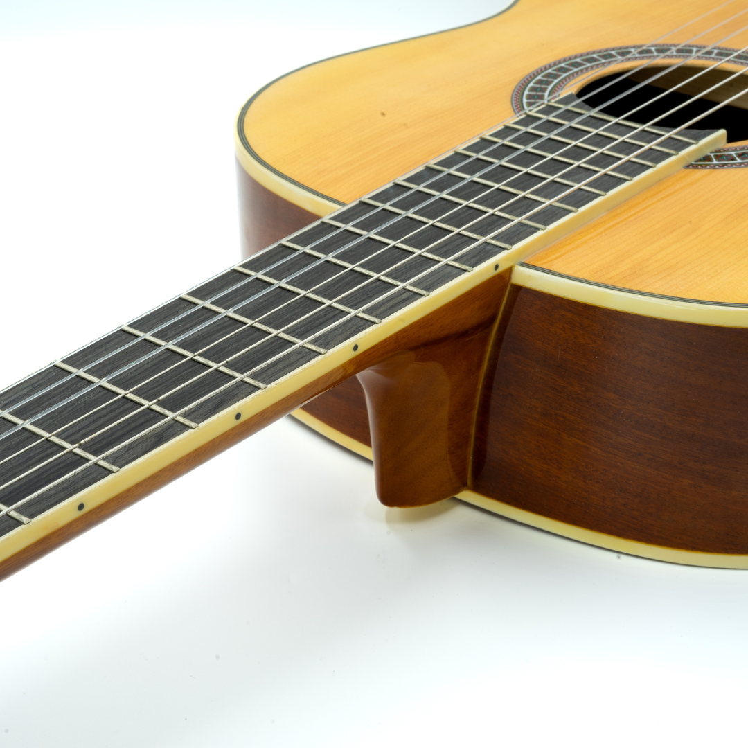 Klassieke gitaar - CG-39-SP