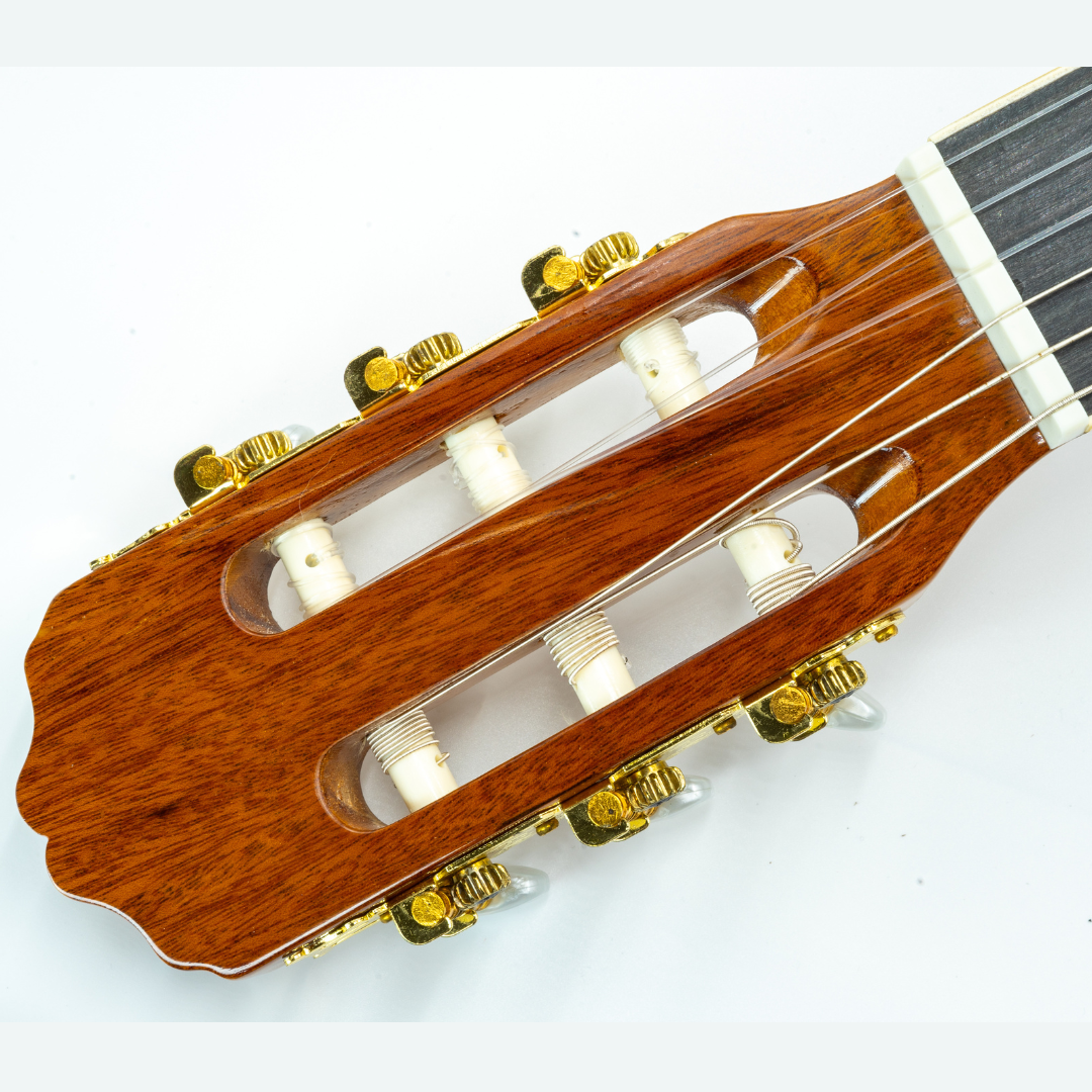 Klassieke gitaar - CG-39-SP