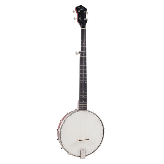 Recording King RKOH-05