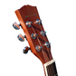 WG-41-SPL Akoestische gitaar