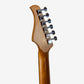 Lintage Guitars TLY-04-NT