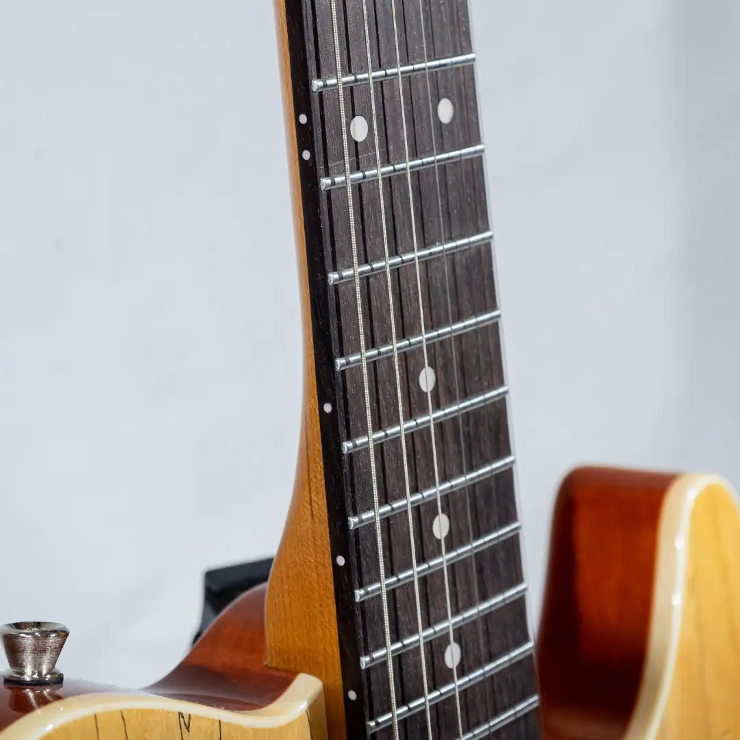 Lintage Guitars TLY-04-NT