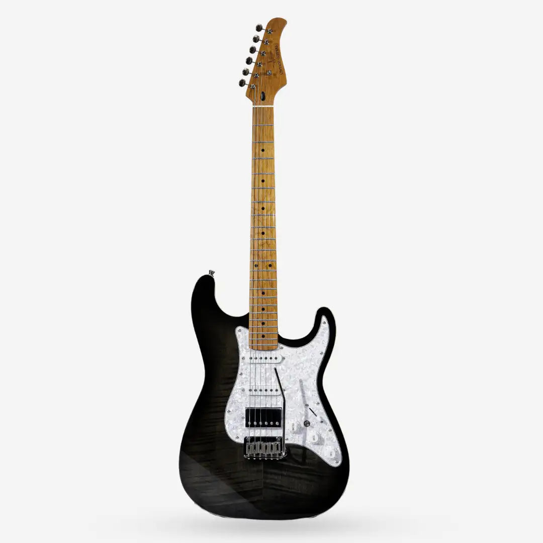 Lintage Guitars STY-02-BB
