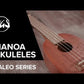 Concert Ukelele Manoa