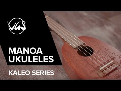 Concert Ukelele Manoa