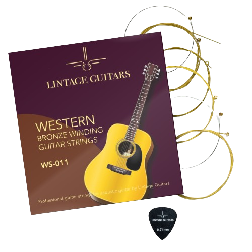 Lintage Guitars® Phosphorbronze – WS-011