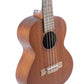 Tenor Ukulele